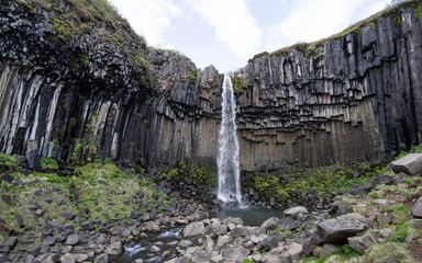 Summer view of Svartifoss waterfall in Iceland. The fall in the center, black geometric formations of black volcanic rock on both sides. Water falls into a pond surrounded by other black rocks.