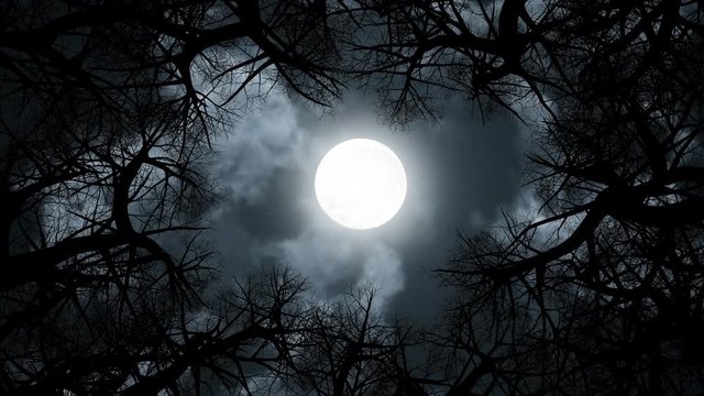 Clouds passing by moon at night. Full moon at night with cloud real time. Details on surface visible