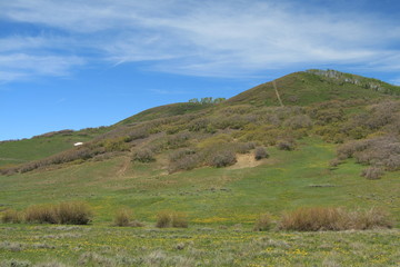 Naklejka premium Ridgeway to Last Dollar Rd to Telluride Colorado