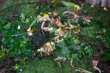 Organic composting biodegradable waste pile, vegetable, fruits bio rotting