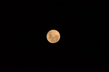Moon at it largest also called super moon, Moon with a clear night surface. © Lucas