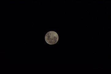 Moon at it largest also called super moon, Moon with a clear night surface. © Lucas