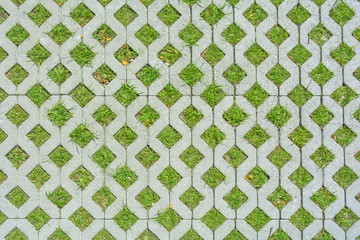 Geometric background of eco floor bricks and green grass. Eco parking texture