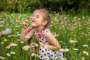little girl in a flower field