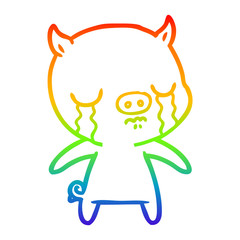 rainbow gradient line drawing cartoon pig crying