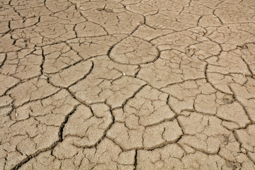 Arid cracked land