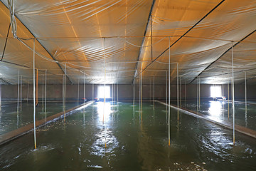 Mariculture pond in China