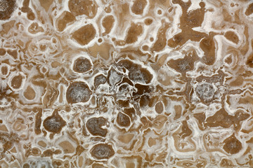 Alkaline stains on cement walls