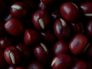Close-up of Adzuki Beans, Vigna angularis, Selected Focus Food Background