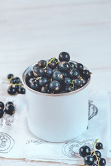 Black currant with leaves on the white background