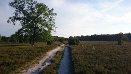 Wanderung in der Heide