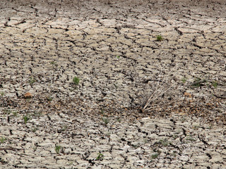 Ausgetrockneter Fluss