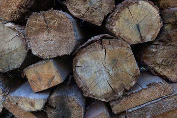 Naklejka premium Abstract background with felled wood.Selective focus