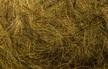 close up detailed view stack of hay