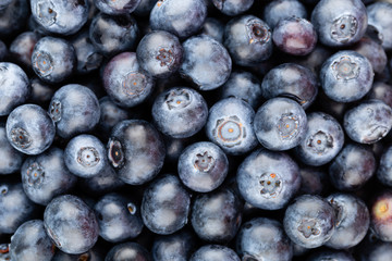 Fresh blueberry background. Texture blueberry berries close up.