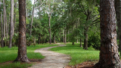 Path in the park