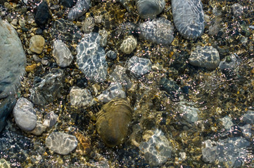 pebble stones on the sea beach, the rolling waves of the sea with foam