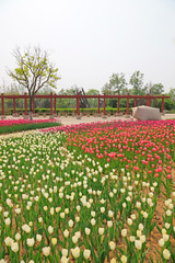 porch and rock sculpture