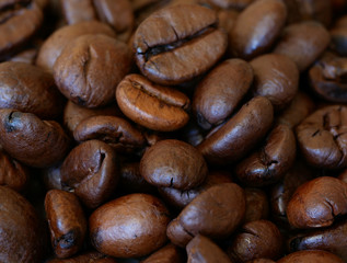 Close-up of Roasted Coffee Beans, Background With Selected Focus