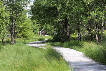 Des touristes dans les Hautes Fagnes