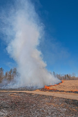Fototapeta na wymiar Smoke Tornado in a Controlled Prairie Burn