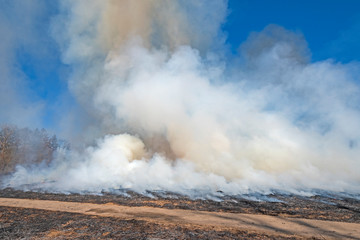 Smoke Rising From Controlled Prairie Burn