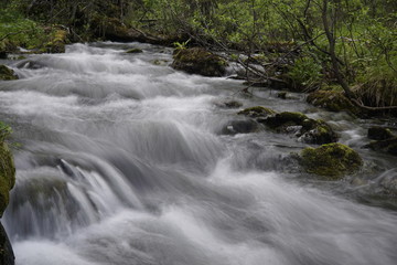 Fototapeta premium The rapids of the northern river in the tundra
