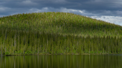 Fototapeta na wymiar Wooded hill on the north lake