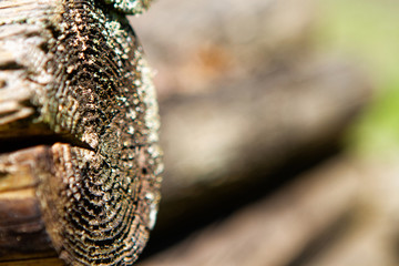 Fragment of the wall of the old ruined wooden house of logs.