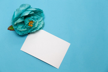 Flowers background. flowers, notebook on a pale blue background.