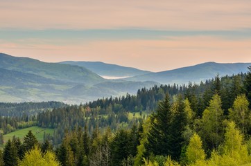 Obraz na płótnie Canvas Beautiful spring mountain landscape. Morning mists between the green hills.