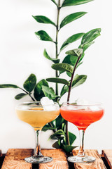 green plant with yellow and red cocktails