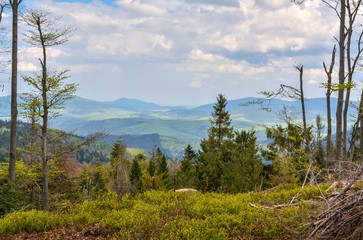Beautiful spring mountain landscape. Green valleys between the hills.