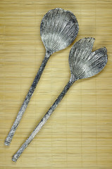 Two metal kitchen spoons