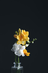 yellow flowers in a vase