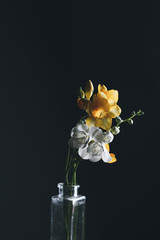 yellow flower in a vase