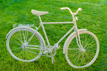 An old Bicycle painted white stands in the garden