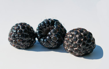 Ripe BlackBerry berry on the background