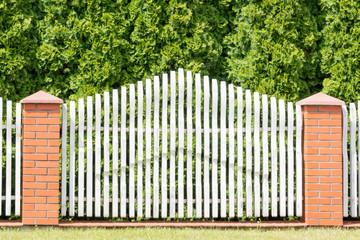 Fototapeta premium Fragment of a decorative fence with arborvitae