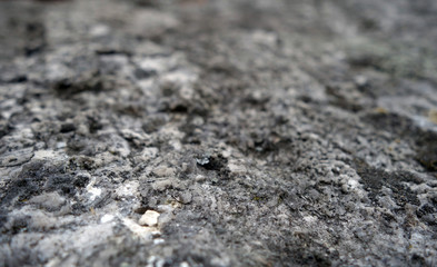 Old stone surface with blur effect.