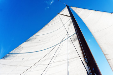 Fototapeta premium white sails against the sky