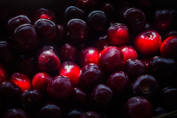 CHERRIES WITH LIGHTS AND SHADOWS. DARK FOOD PHOTOGRAPHY