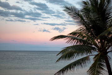 Fototapeta na wymiar Maui Hawaii Ocean Sunrise Sunset with Tropical Palm