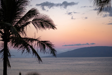 Maui Hawaii Ocean Sunrise Sunset with Island and Palm