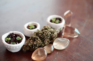 Bright, macro photo of medicinal marijuana. Legal weed, cannabis flowers and healing crystals. Alternative holistic healing, ganja and crystals. Reiki energy healing with THC and CBD. Natural Healing