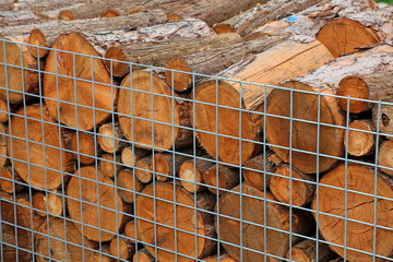 logs in a wire net