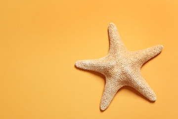Fototapeta na wymiar Beautiful starfish on color background, top view with space for text