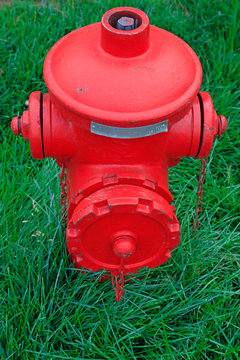 red fire hydrant is on the lawn