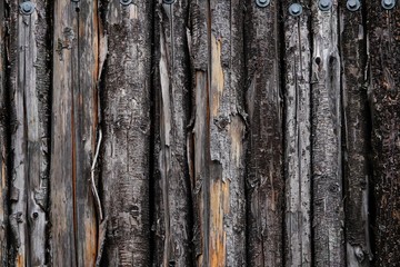 A wall of wood made from trees