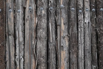 Fototapeta premium A wall of wood made from trees